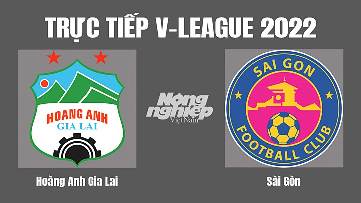 Trực tiếp bóng đá V-League (VĐQG Việt Nam) 2022 giữa HAGL vs Sài Gòn hôm nay 3/9/2022