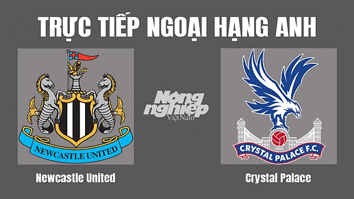 Trực tiếp bóng đá Ngoại hạng Anh giữa Newcastle United vs Crystal Palace hôm nay 3/9/2022