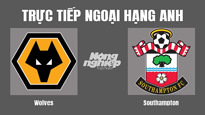 Trực tiếp bóng đá Ngoại hạng Anh giữa Wolves vs Southampton hôm nay 3/9/2022