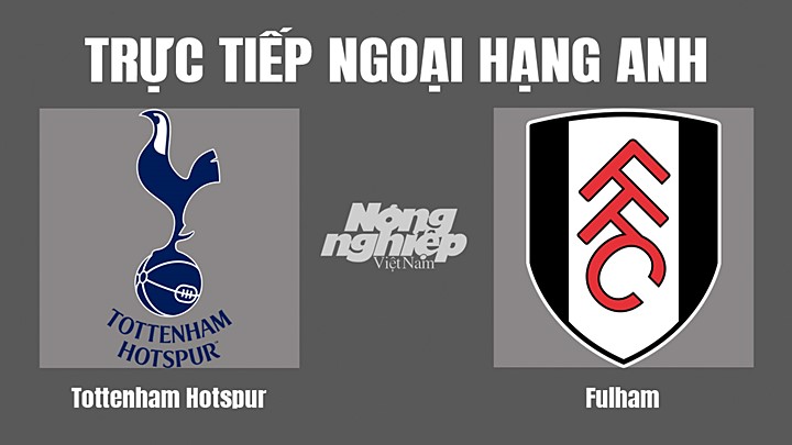 Trực tiếp bóng đá Ngoại hạng Anh giữa Tottenham vs Fulham hôm nay 3/9/2022