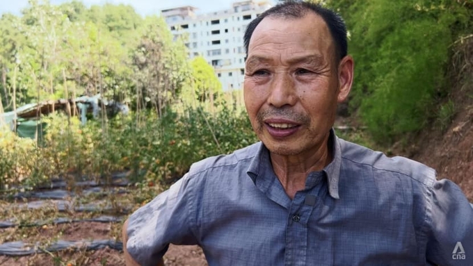 Lão nông  Wang Yong Fu, 70 tuổi, than rằng không thể trồng bất kỳ loại cây trồng nào trong đợt nắng nóng khắc nghiệt này. Ảnh: CNA 
