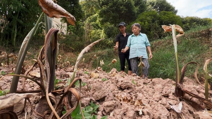 Bà Zhou Qi (đứng trước), một nông dân ở làng Xinshi, Trùng Khánh, nói rằng tất cả các cây trồng của gia đình đều đã chết khô. Ảnh: CNA / Emil Wan
