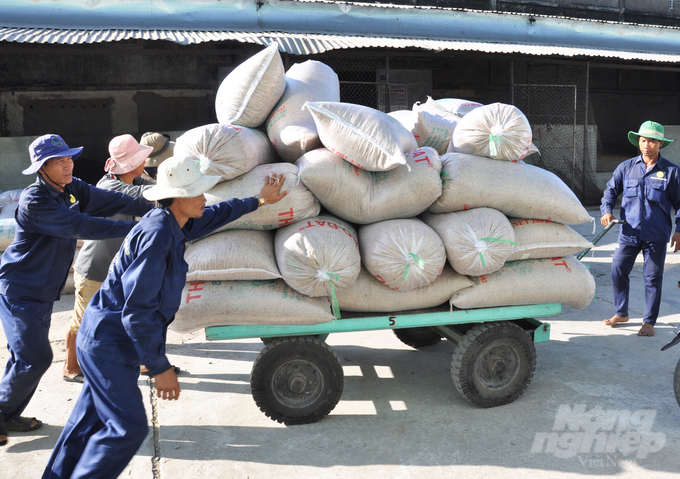 Các doanh nghiệp dự đoán từ nay đến cuối năm xuất khẩu gạo vẫn đạt mức tăng trưởng ổn định. Ảnh: Hưng Phú.