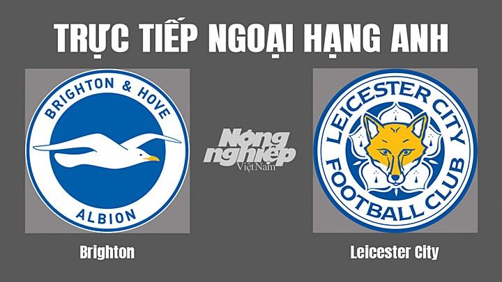 Trực tiếp bóng đá Ngoại hạng Anh giữa Brighton vs Leicester City hôm nay 4/9/2022