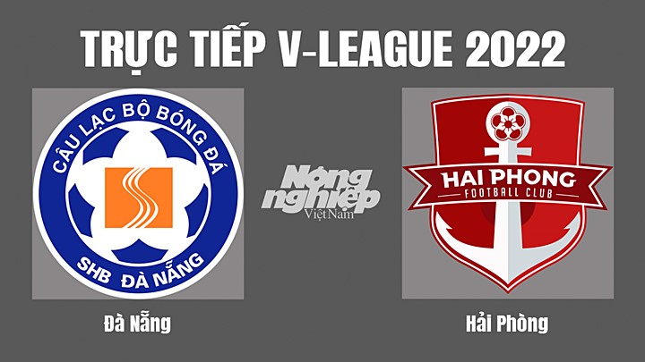 Trực tiếp bóng đá V-League (VĐQG Việt Nam) 2022 giữa Đà Nẵng vs Hải Phòng hôm nay 4/9/2022