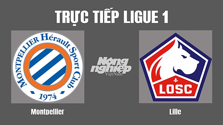 Trực tiếp bóng đá Ligue 1 giữa Montpellier vs Lille hôm nay 4/9/2022