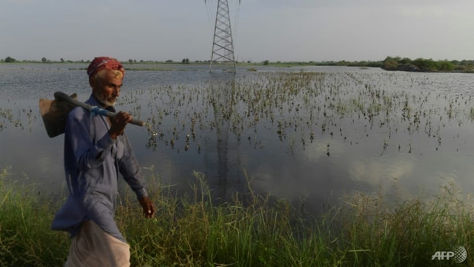 More than 33 million people have been affected by the floods caused by record monsoon rains, and one of the worst-hit areas is Sindh in Pakistan's south.