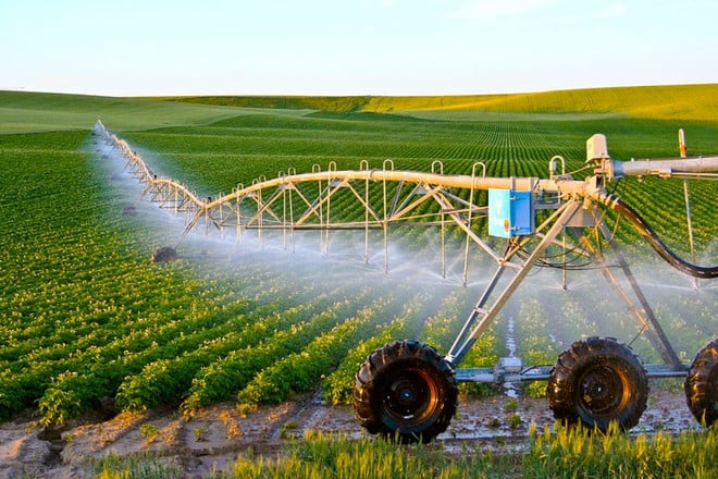 Digitalization in agriculture is a promising field that helps bridge the gap between science and traditional realities. Illustrative photo. 