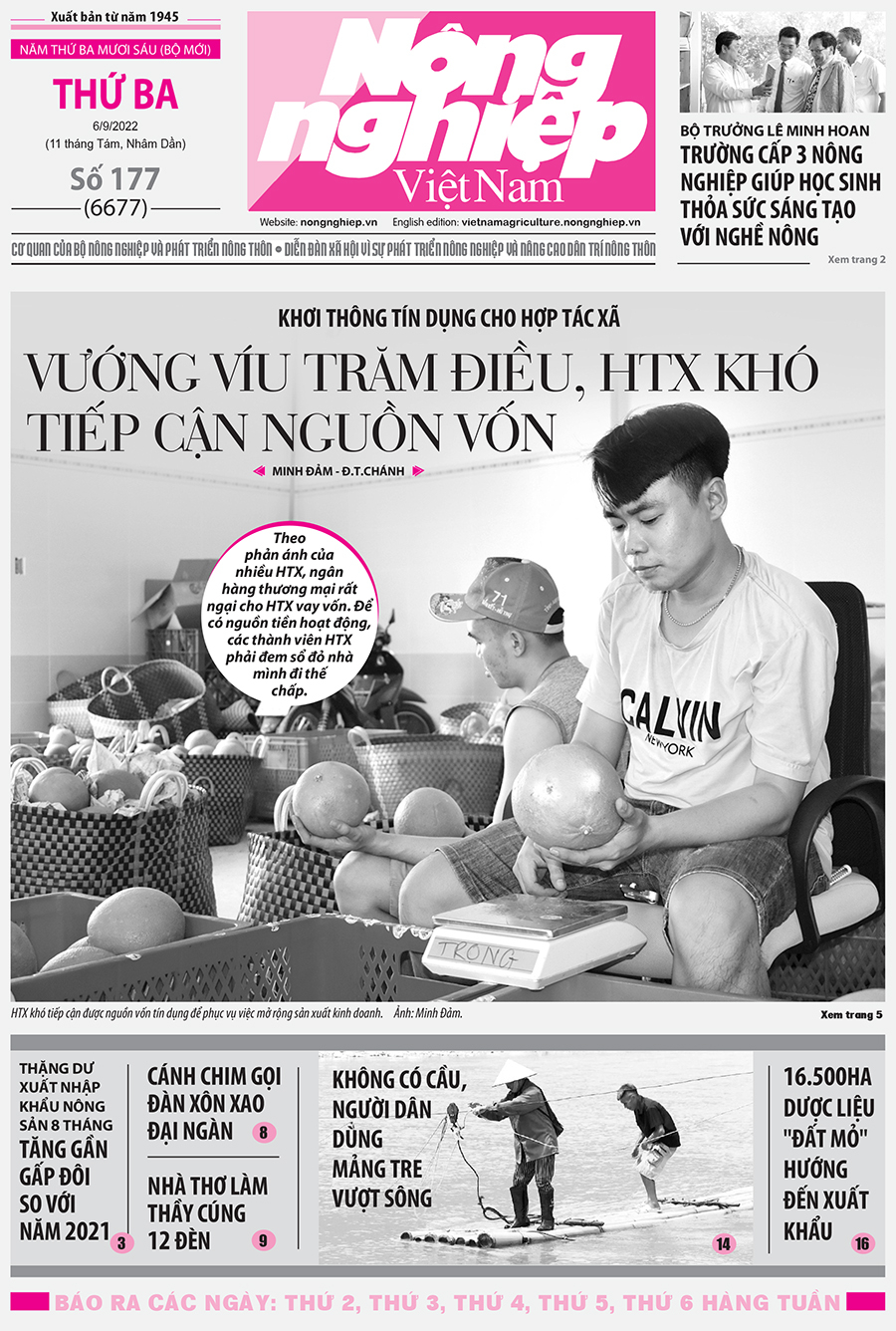 Tin nông nghiệp nổi bật trên số 177, báo Nông nghiệp Việt Nam ngày 6/9/2022