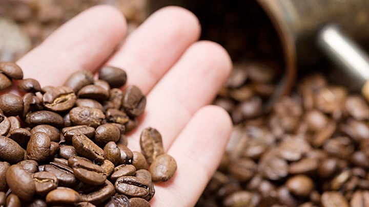 Cập nhật giá cà phê trong nước và thế giới mới nhất ngày 26/9/2023