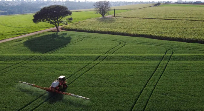 A tractor sprays pesticides on wheat crops to be harvested this year, in Arapongas, Brazil. Photo: Reuters