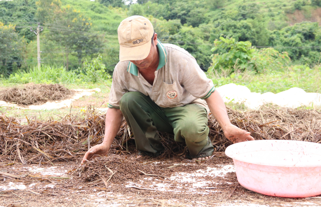 Người dân tại huyện Lắk chủ yếu sống bằng nghề canh tác lúa. Cơn lũ đã làm mất trắng hàng nghìn ha lúa nước gần đến thời điểm thu hoạch khiến nhiều người dân gặp khó khăn.  