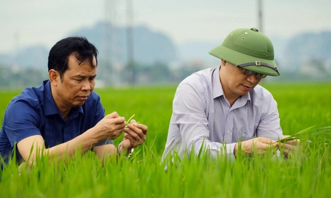 Ông Nguyễn Quý Dương (phải) cho biết, áp dụng IPHM không những giúp cây trồng chủ lực đảm bảo năng suất, chất lượng, phòng chống dịch hại mà còn góp phần bảo vệ môi trường. Ảnh: Bá Thắng.