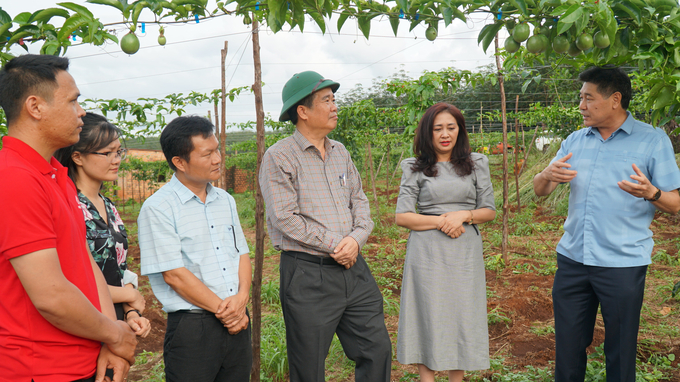 Ông Lê Quốc Thanh, Giám đốc Trung tâm Khuyến nông Quốc gia thăm vườn chanh leo của Công ty Nafoods. Ảnh: Tuấn Anh.