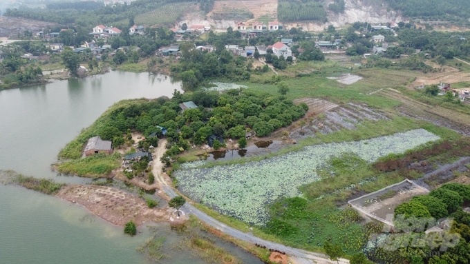 Mặc dù không có mưa nhưng nước ở hồ Đập Làng đã lên sát mép đất canh tác của dân