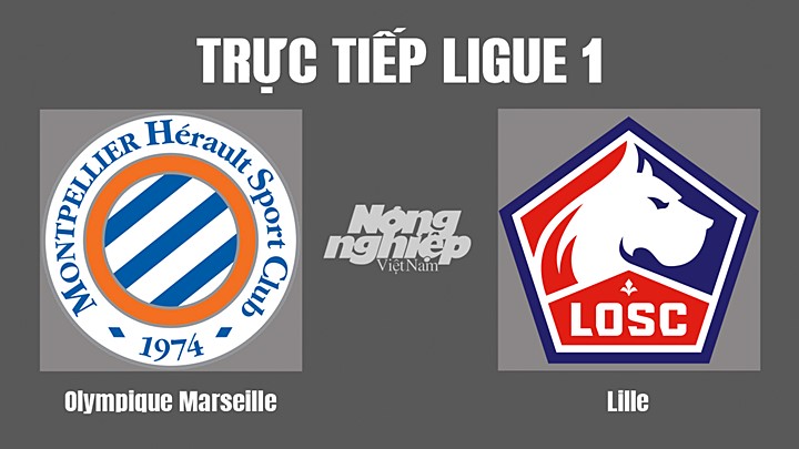 Trực tiếp bóng đá Ligue 1 (VĐQG Pháp) 2022/23 giữa Marseille vs Lille hôm nay 11/9/2022