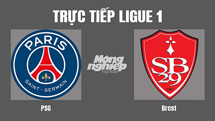 Trực tiếp bóng đá Ligue 1 (VĐQG Pháp) 2022/23 giữa PSG vs Brest hôm nay 10/9/2022