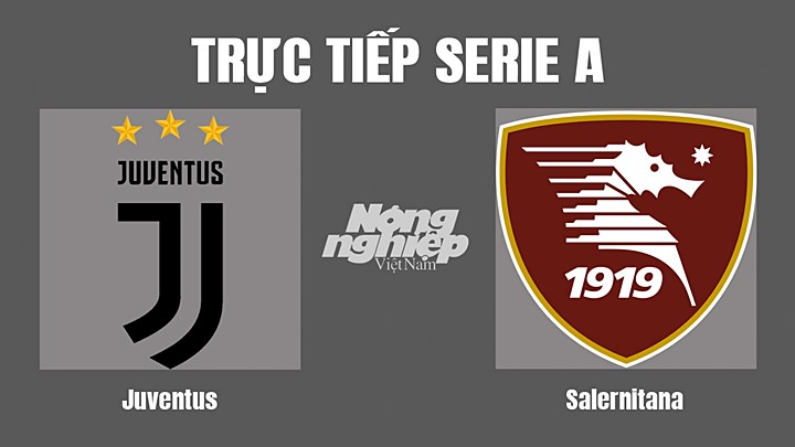 Trực tiếp bóng đá Serie A (VĐQG Italia) 2022/23 giữa Juventus vs Salernitana hôm nay 12/9