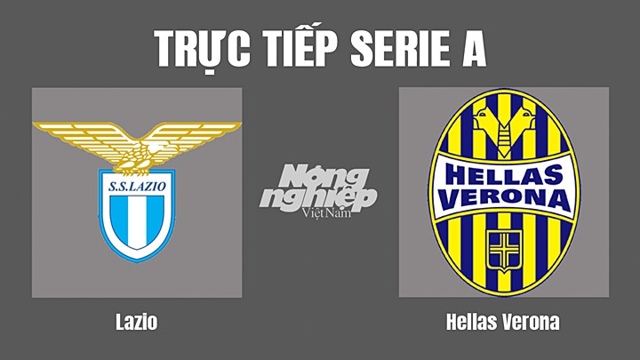 Trực tiếp bóng đá Serie A (VĐQG Italia) 2022/23 giữa Lazio vs Hellas Verona hôm nay 11/9