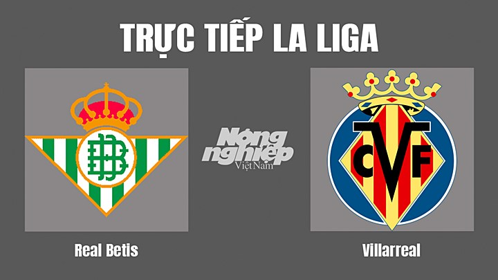 Trực tiếp bóng đá La Liga 2022/23 giữa Real Betis vs Villarreal hôm nay 12/9/2022