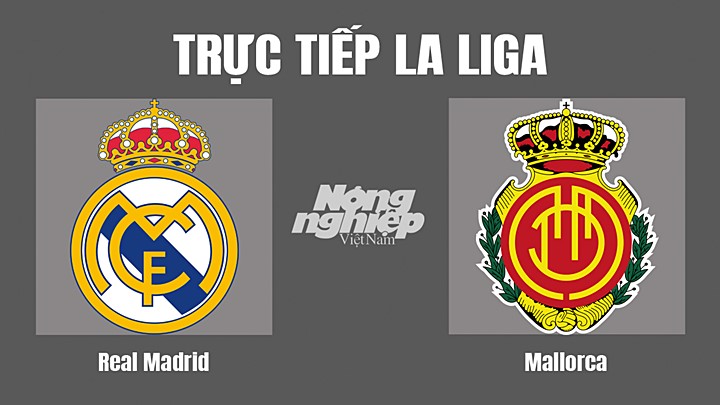 Trực tiếp bóng đá La Liga 2022/23 giữa Real Madrid vs Mallorca hôm nay 11/9/2022