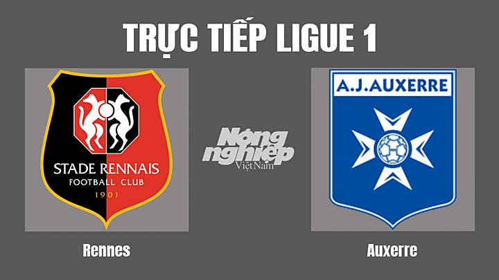 Trực tiếp bóng đá Ligue 1 (VĐQG Pháp) 2022/23 giữa Rennes vs Auxerre hôm nay 11/9/2022