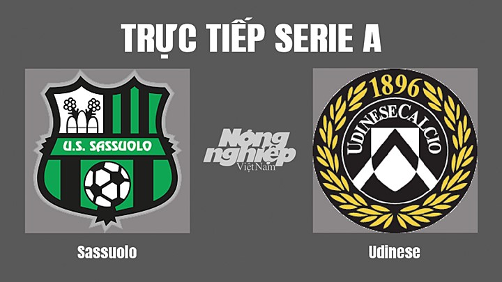 Trực tiếp bóng đá Serie A (VĐQG Italia) 2022/23 giữa Sassuolo vs Udinese hôm nay 11/9