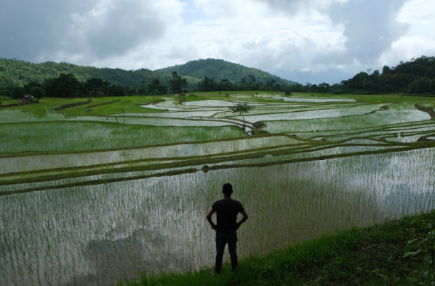 In parts of India, crops have been destroyed by both incessant rain and by the lack of it. Photo: AP