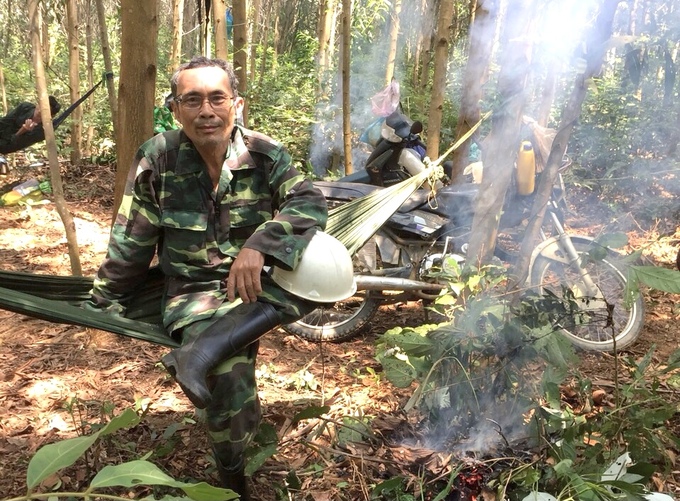 Mr. Do Duy Thuy, who owns nearly 100 hectares of forest in Canh Hien commune, Van Canh district, Binh Dinh is still determined to raise large timber forests. Photo: V.D.T.