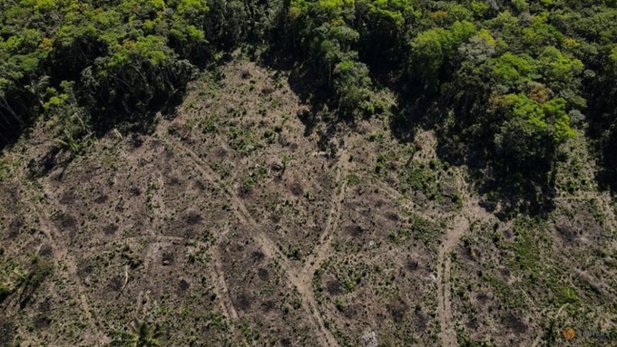 An aerial view shows a deforested plot of the Amazon rainforest in Manaus, Amazonas State, Brazil, on Jul 8, 2022. Photo: REUTERS/Bruno Kelly