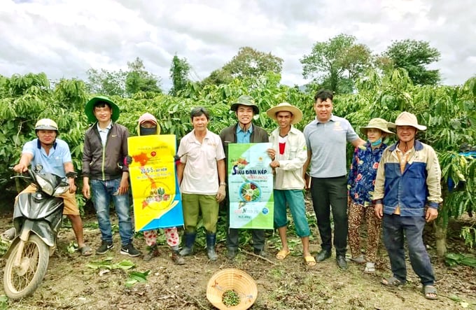 Phân bón NPK + Đất hiếm Doanh Nông là lựa chọn ưu việt của nông dân Tây Nguyên, Tây Bắc trong 10 năm qua. Ảnh: Quỳnh Trang. 