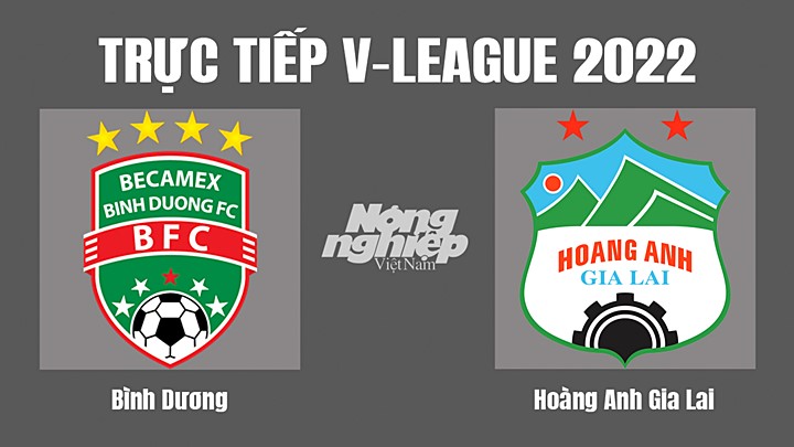 Trực tiếp bóng đá V-League (VĐQG Việt Nam) 2022 giữa Bình Dương vs HAGL hôm nay 13/9/2022