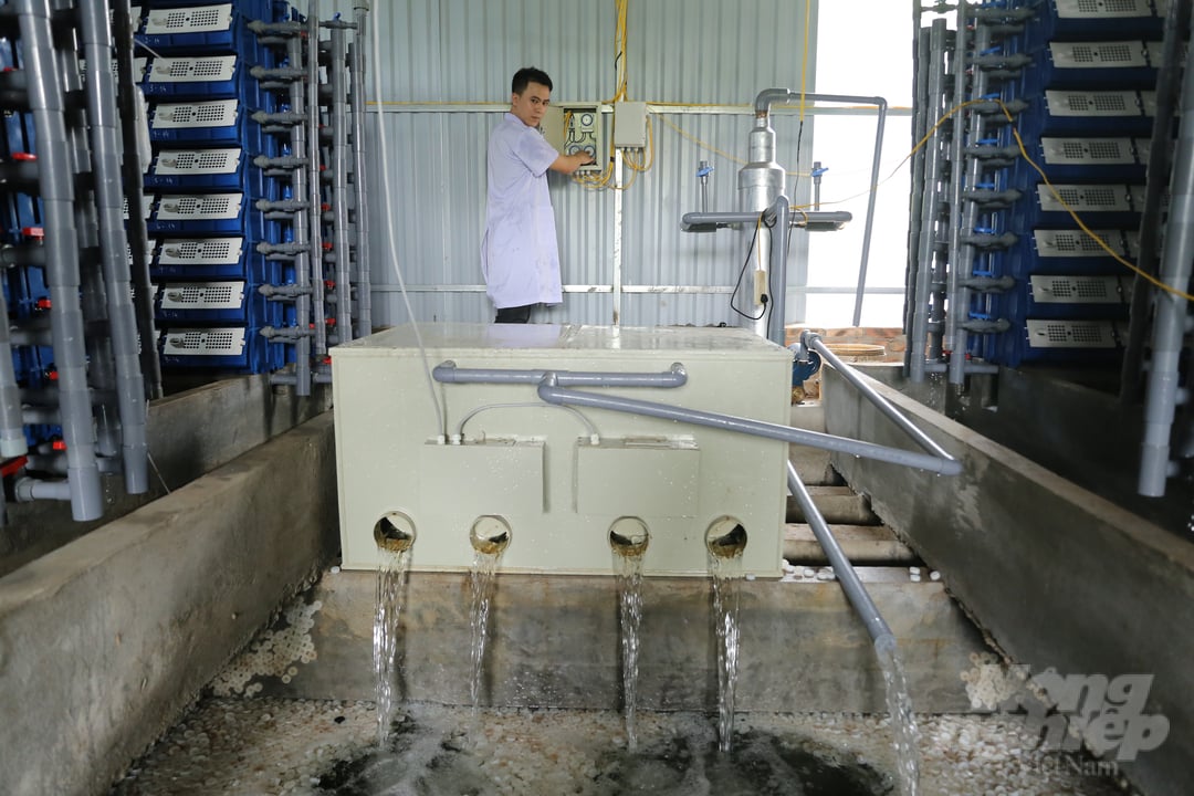 Hướng dẫn chi tiết kỹ thuật nuôi cua biển trong hộp đạt doanh thu cao   Thủy Hải Sản Việt Nam