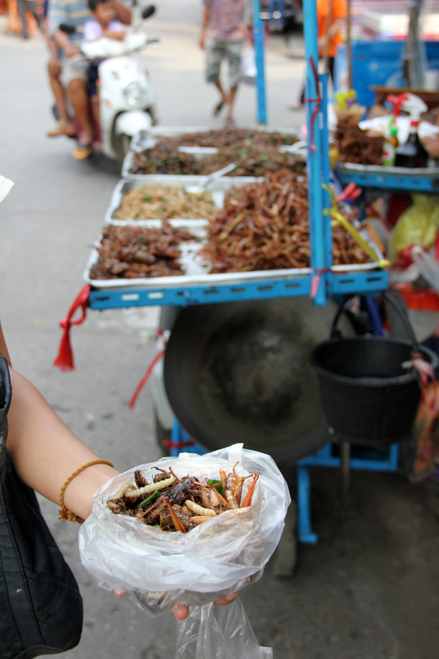 Chợ bán côn trùng ăn được ở Phuket, Thái Lan. Ảnh: Getty