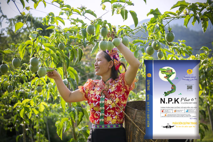 Phân bón NPK + Đất hiếm Doanh Nông rất phù hợp với những loại cây trồng mới có giá trị kinh tế cao như chanh leo (lạc tiên). Ảnh: Quỳnh Trang.