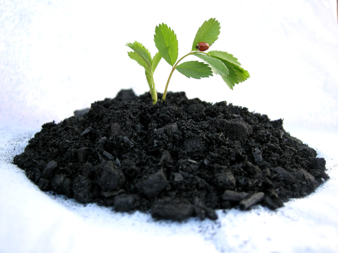 Biochar can be applied to improve soil and produce organic fertilizer...