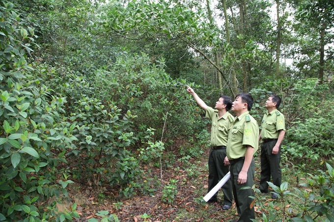 The improvement of living standards for forest rangers is a necessity today. Photo: ST.