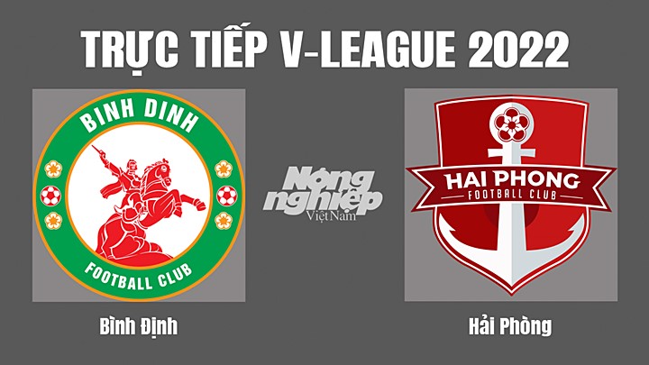 Trực tiếp bóng đá V-League (VĐQG Việt Nam) 2022 giữa Bình Định vs Hải Phòng hôm nay 14/9/2022