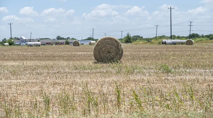 A bale of hay in a field during a heat wave outside Elgin, Texas, July 20, 2022. Photo: Sergio Flores/Bloomberg via Getty Images / Getty Images