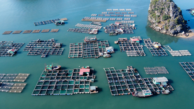 Vietnam's marine farming is oriented towards sustainable development, with science, technology and innovation as the driving force.