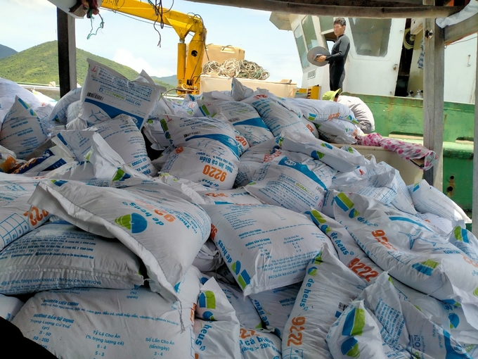 Research Institute for Aquaculture I feeds yellowfin pompano with industrial feed produced by De heus. Photo: KS.