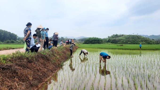 Lượng nước sử dụng cho nông nghiệp ở Quảng Ninh đạt khoảng 235 triệu m3/năm. Ảnh: Viết Cường
