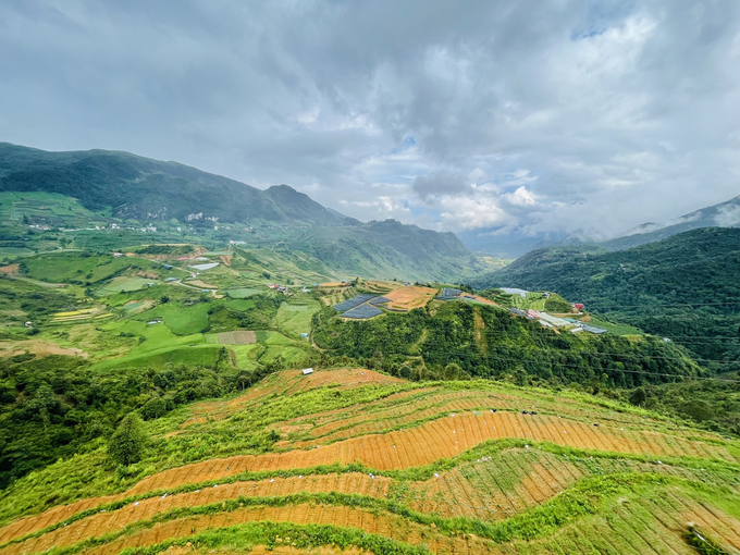 Khu vực canh tác của người dân phường Ô Quý Hồ (Sa Pa). Tại đây, ngoài rau củ quả truyền thống thì người dân Sa Pa canh tác su su quanh năm và chủ yếu để lấy ngọn mang bán. Mỗi ngày, sản lượng su su của Sa Pa xuất bán được lên tới vài tấn, đổ buôn đi khắp nơi, cả về xuôi.