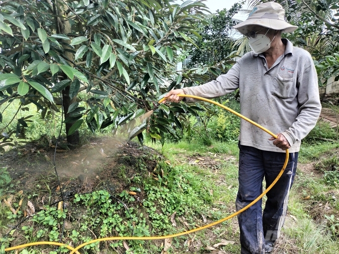 Ông Ba Thới, xã Thanh Bình, huyện Vũng Liêm, tỉnh Vĩnh Long nông dân tham gia trả lời phỏng vấn của đại diện Tổng cục Hải quan Trung Quốc khảo sát mã số vùng trồng sầu riêng tại địa phương. Ảnh: Minh Đảm.