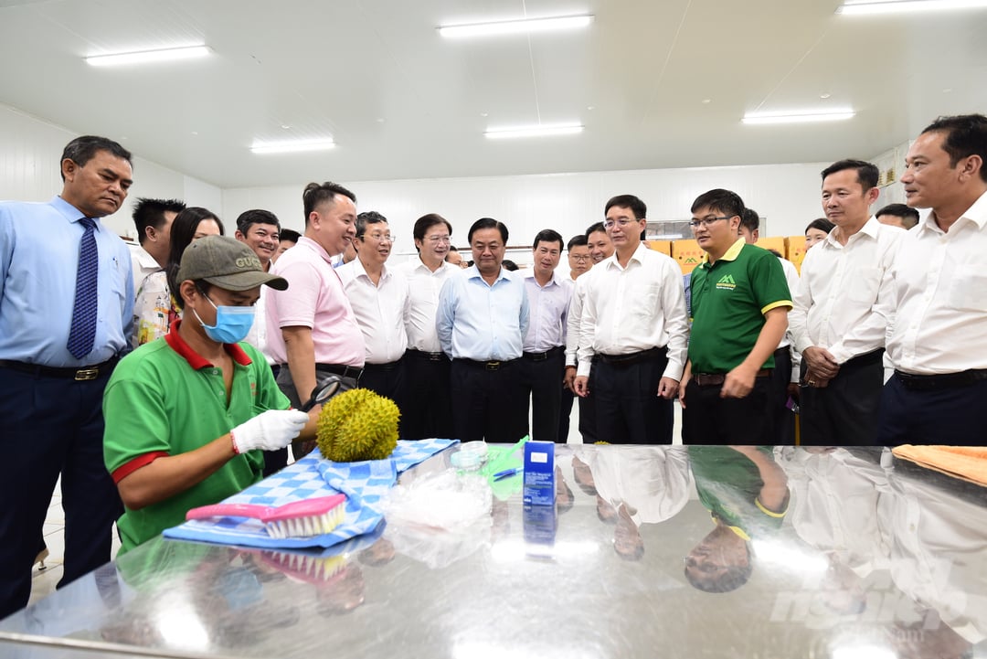 Bộ trưởng Lê Minh Hoan cùng đại biểu tỉnh Đăk Lăk thăm khu vực sơ chế, đóng gói của Công ty Dũng Thái Sơn.