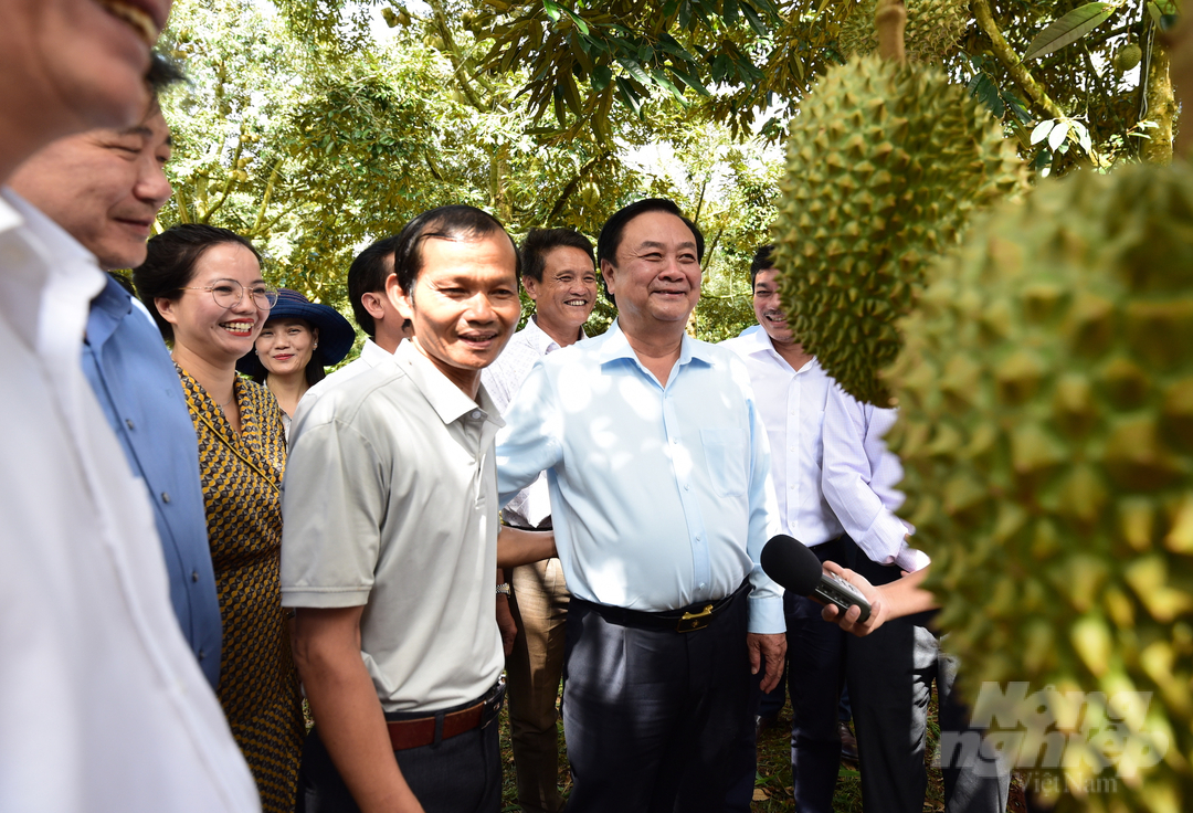 Bộ trưởng Lê Minh Hoan thăm một vườn trồng sầu riêng hữu cơ tại Đăk Lăk.