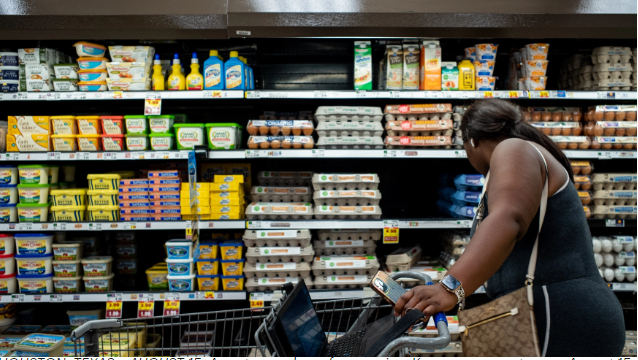 A customer shops for eggs in a Kroger grocery store on August 15, 2022 in Houston, Texas. Egg prices steadily climb in the U.S. as inflation continues impacting grocery stores nationwide. Photo:  Brandon Bell/Getty Images