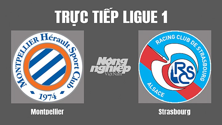Trực tiếp bóng đá Ligue 1 (VĐQG Pháp) 2022/23 giữa Montpellier vs Strasbourg hôm nay 17/9/2022