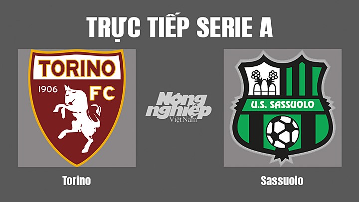 Trực tiếp bóng đá Serie A (VĐQG Italia) 2022/23 giữa Torino vs Sassuolo hôm nay 18/9