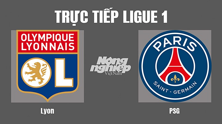 Trực tiếp bóng đá Ligue 1 (VĐQG Pháp) 2022/23 giữa Lyon vs PSG hôm nay 19/9/2022